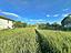 Immagine 18