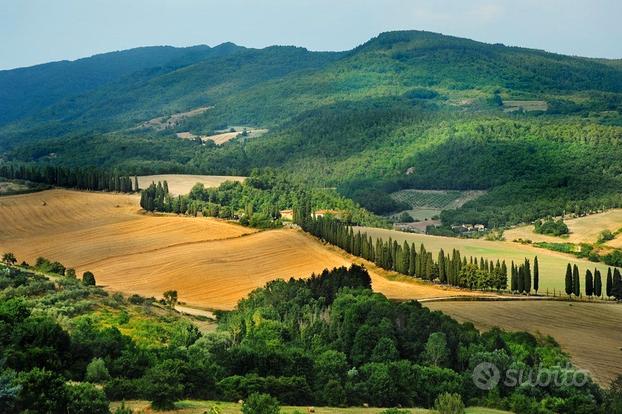 Borgo S Lorenzo porzione villa mq 165 terreno 3 ha