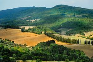 Borgo S Lorenzo porzione villa mq 165 terreno 3 ha