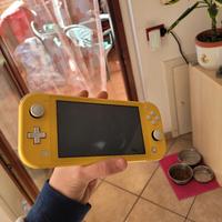 Nintendo switch lite