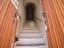 Immagine 13