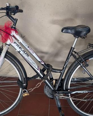 Coppia bici da città!!