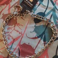 Collare a strangolo per cani in acciaio