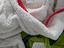 Immagine 5