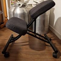 sedia ergonomica ikea
