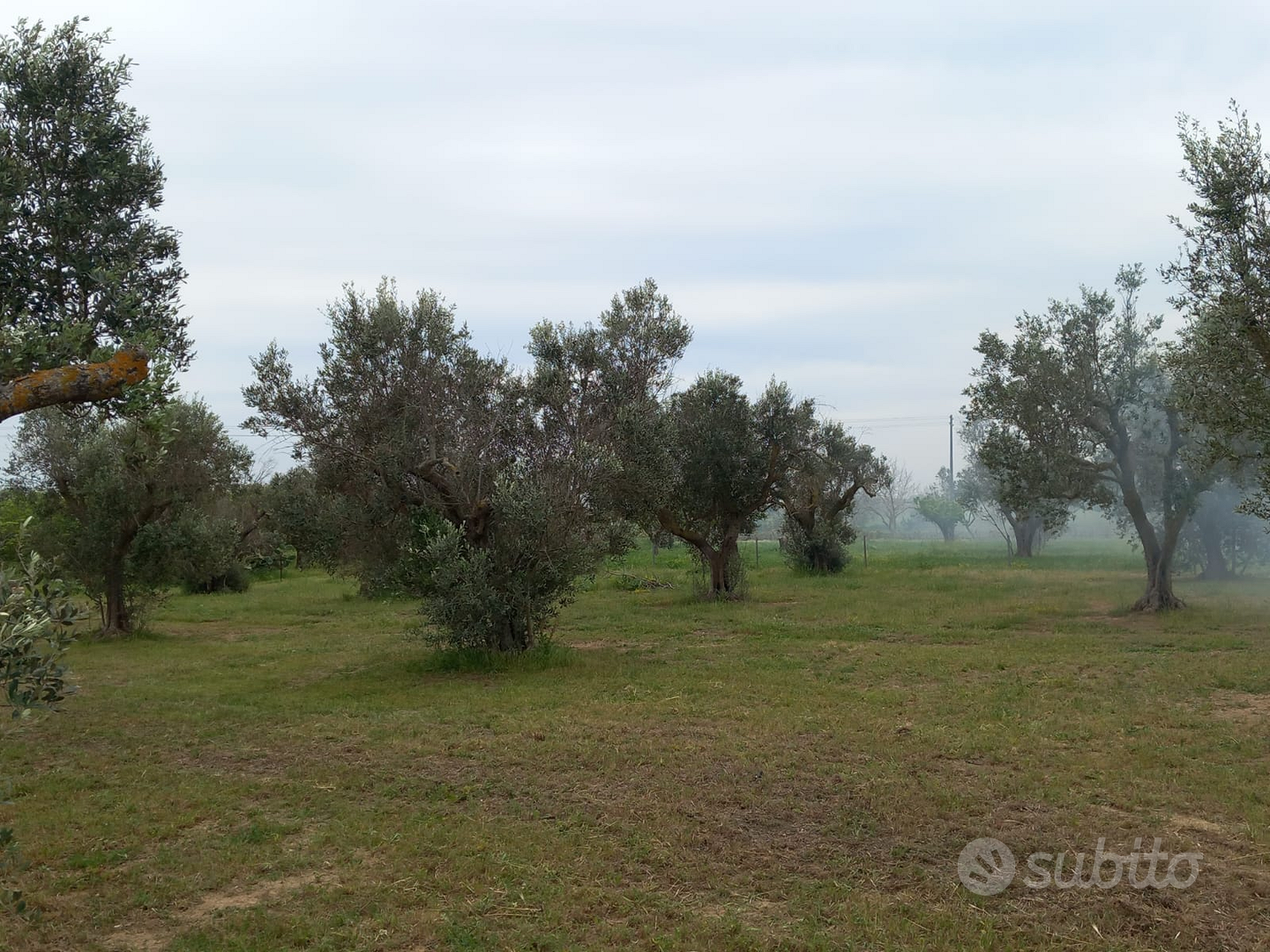 Terreno agricolo - Vista 3