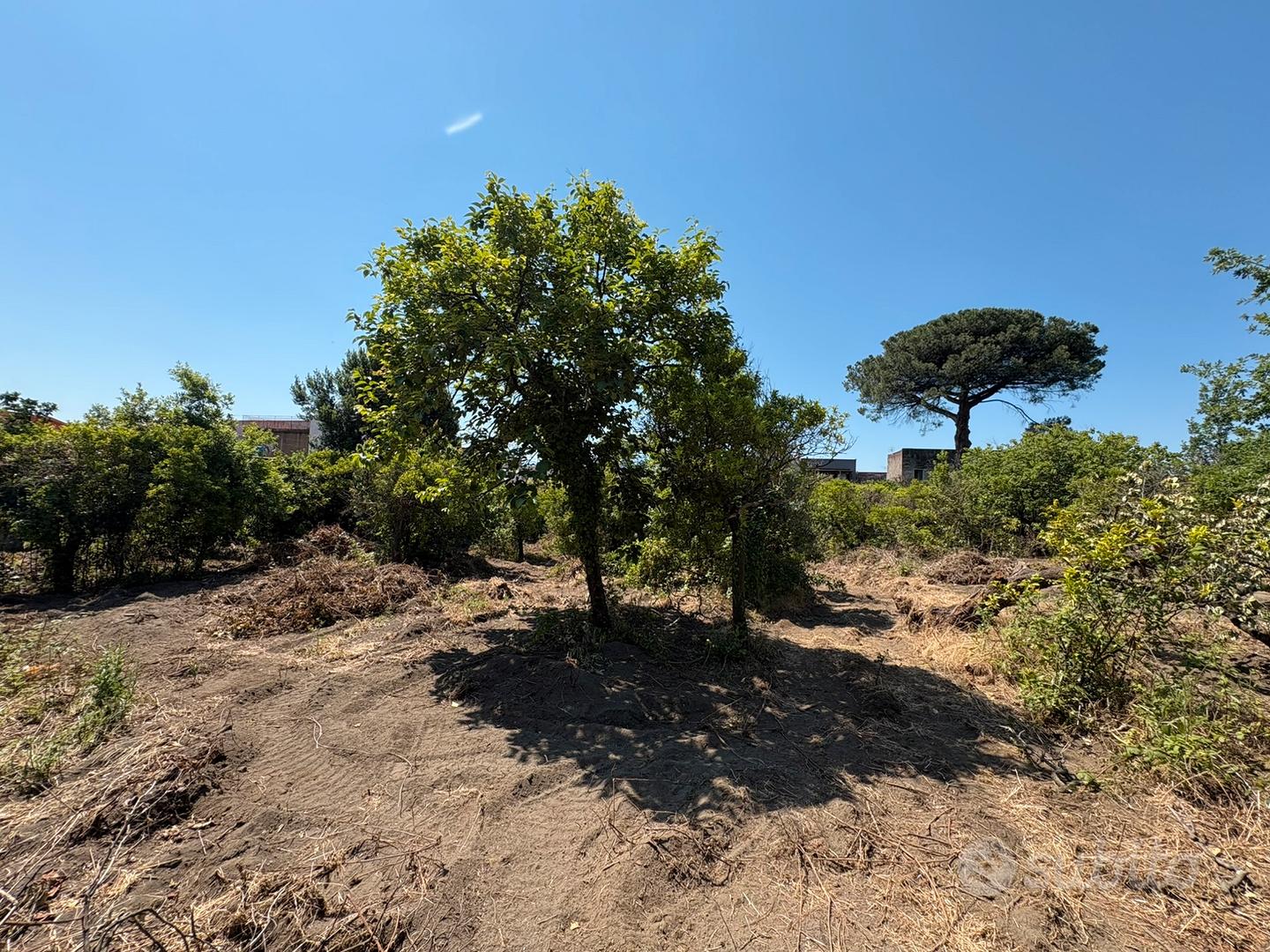 Terreno 4000 mq a Boscotrecase con rudere - Vista 4
