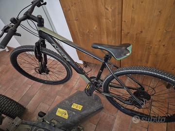 bicicletta adulto