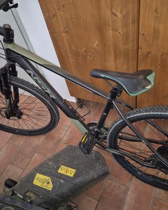 bicicletta adulto