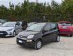 FIAT Panda GPL 1.2cc 69cv