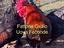 Immagine 3