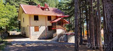 Casa vacanze Sila Camigliatello 13 posti letto