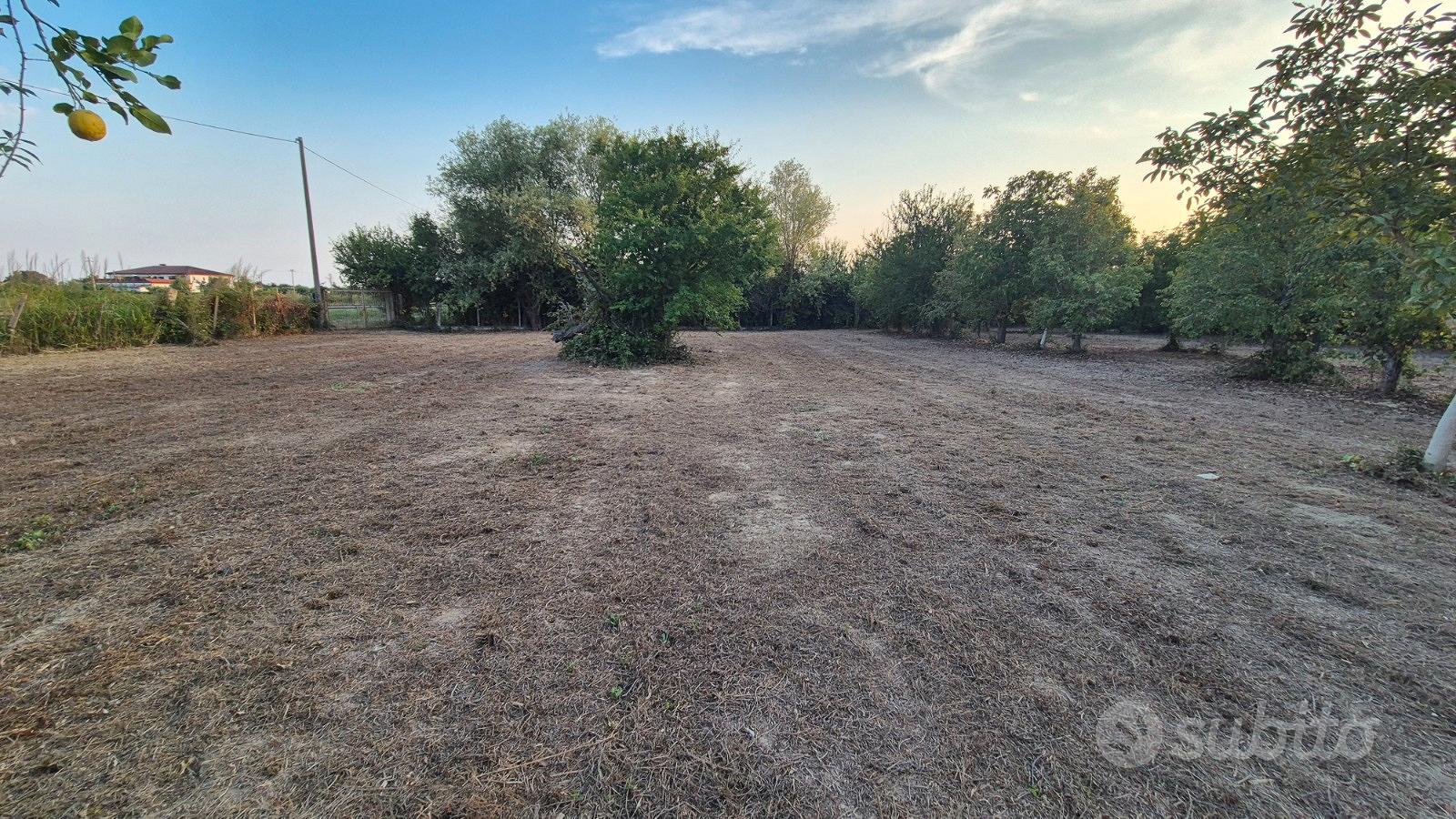 Terreno agricolo 2.462 mq con deposito di 14mq - Vista 4
