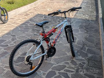 Bicicletta da ragazzo con cambi