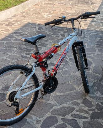 Bicicletta da ragazzo con cambi