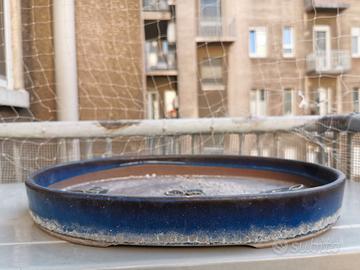 Vasi bonsai alta qualità