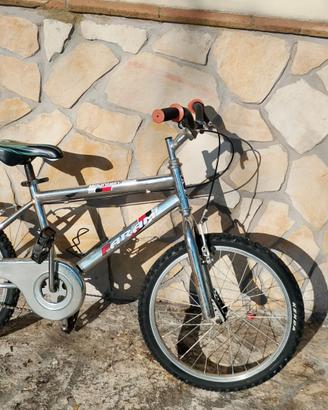 Bici faram bambino 5/6 anni