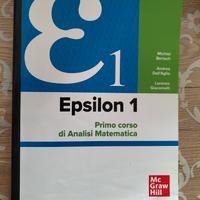 Epsilon 1 Analisi Matematica Bertsch