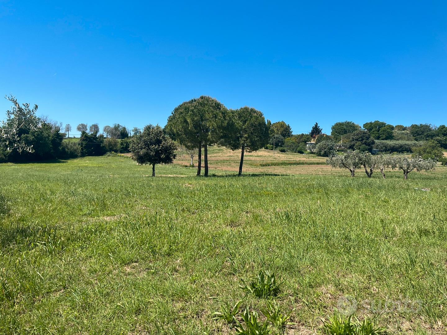 Terreno agricolo - Vista 5