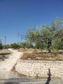 Terreno Edificabile - Mazzarrone