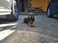 Immagine 3