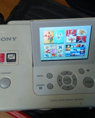 Sony dpp-fp75 e sony up-897md ecografia