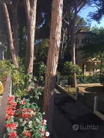Appartamento - Cervia
