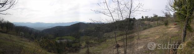 Terreno agricolo con fabbricati