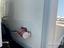 Immagine 10