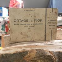 ORTAGGI E FIORI GUIDA PRATICA PER LA COLTIVAZIONE 