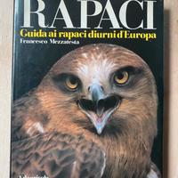 RAPACI- Francesco Mezzatesta 1984