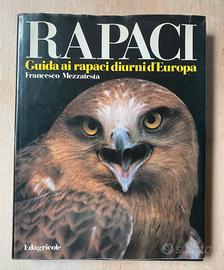 RAPACI- Francesco Mezzatesta 1984