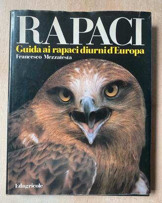 RAPACI- Francesco Mezzatesta 1984