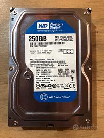 Hard Disk WD da 250 gb