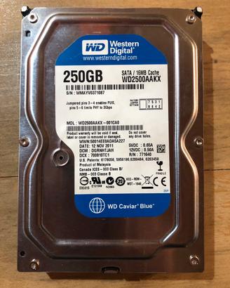 Hard Disk WD da 250 gb