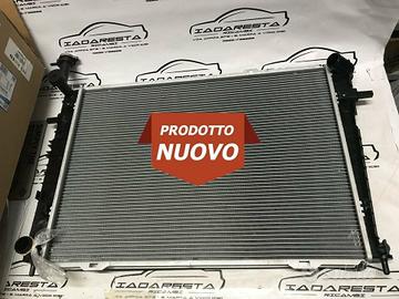Radiatore Tucson - Sportage 2.0 Bz 253102E100