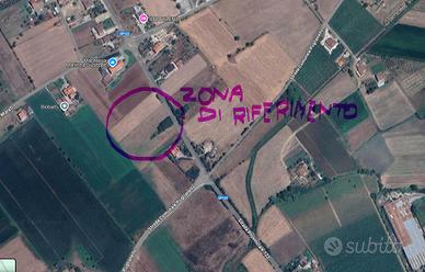 Terreno Agricolo Produttivo - Faicchio