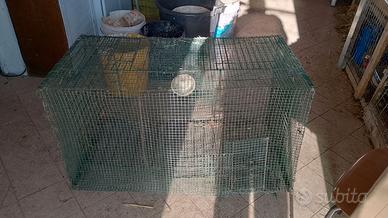 Gabbia per roditori conigli o uccelli