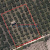 PIETRETAGLIATE - Terreno agricolo di 4.000 mq ca