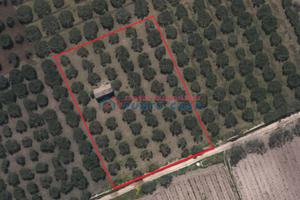 PIETRETAGLIATE - Terreno agricolo di 4.000 mq ca