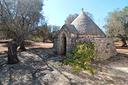 vendita-terreno-con-trullo-c-da-palmo