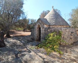 Vendita terreno con trullo c.da Palmo