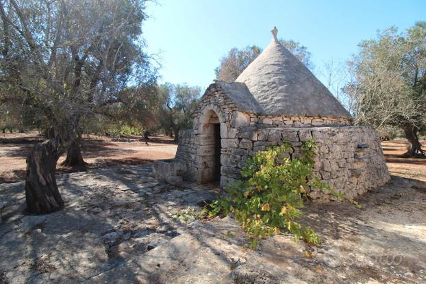 Vendita terreno con trullo c.da Palmo