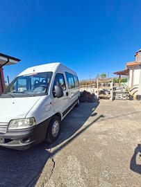 Fiat ducato 9 posti