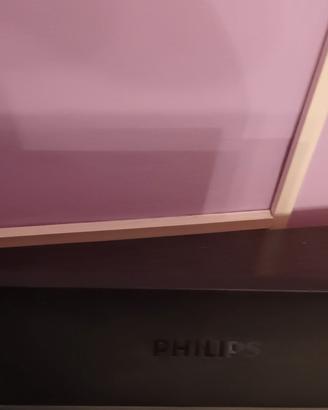monitor philips 