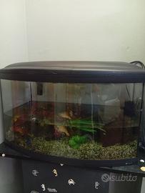 Acquario 120 litri
