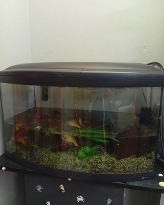 Acquario 120 litri