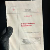 L’Organizzazione Universitaria – G. Moratto 1982