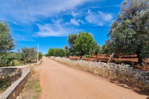 Vendita terreno edificabile