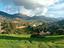 Immagine 11